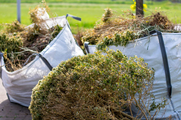 Best Yard Cleanup Services  in Union, OH
